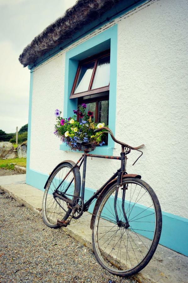 Biddys Cottage Кулдаф Екстериор снимка